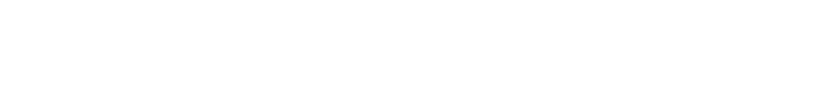 Nexo Seguridad